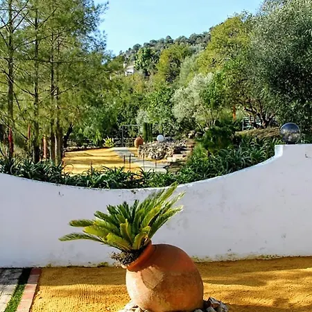 Algarrobales 3*