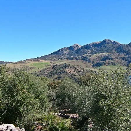 Algarrobales