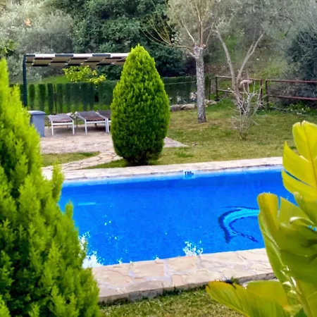 Algarrobales