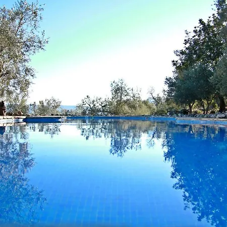 Algarrobales 3*